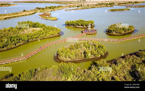  Dongying Yellow River Delta National Nature Reserve – Yksi Kiinalainen Luonnon Helmi!