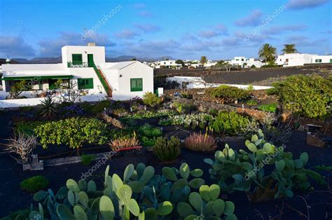  El Jardín Botánico de Yaiza: Ihmeellinen Kasvitieteellinen Keidas Lanzaroteen!